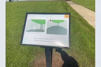 118 Peach Tree Street, Paxton, FL 32538 - Photo 31