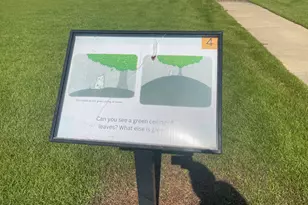 118 Peach Tree St, Paxton, FL 32538 - Photo 31