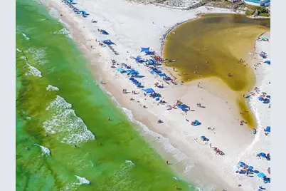 158 Brown Street, Santa Rosa Beach, FL 32459 - Photo 45