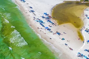 158 Brown St, Santa Rosa Beach, FL 32459 - Photo 45