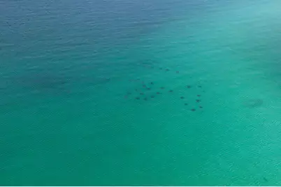 60 Sandprints Drive #UNIT C12, Miramar Beach, FL 32550 - Photo 47