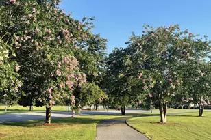 38 Camellia Ct, Freeport, FL 32439 - Photo 83