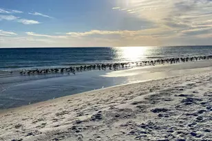 144 Spires Ln, Santa Rosa Beach, FL 32459 - Photo 39