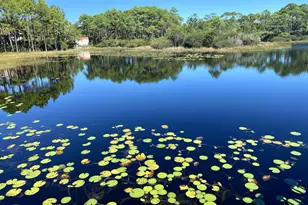 144 Spires Ln, Santa Rosa Beach, FL 32459 - Photo 43