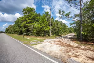 768 Long Rd, Defuniak Springs, FL 32433 - Photo 81