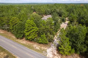 768 Long Rd, Defuniak Springs, FL 32433 - Photo 99