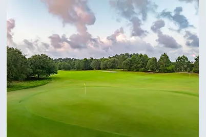 190 Green Heron Street #Lot 37, Watersound, FL 32461 - Photo 7