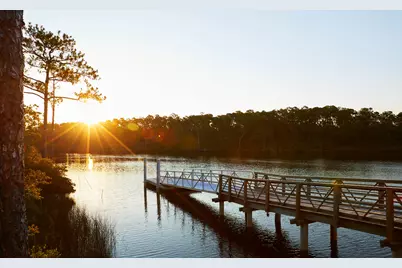 347 W Firethorn Circle W #Lot 45, Watersound, FL 32461 - Photo 13