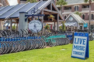 137 Seacrest Beach Blvd, Inlet Beach, FL 32461 - Photo 75