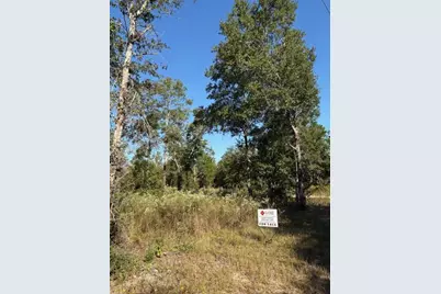 Lot 48 Howlin Road, Defuniak Springs, FL 32433 - Photo 1