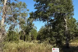 Lot 48 Howlin Rd, Defuniak Springs, FL 32433 - Photo 1