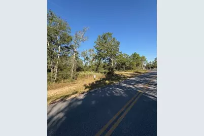 Lot 48 Howlin Road, Defuniak Springs, FL 32433 - Photo 3