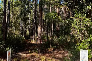 Lot 12 S 14th Street S, Santa Rosa Beach, FL 32459 - Photo 1