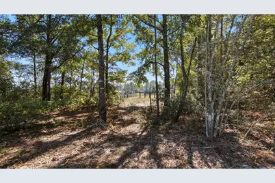 1249 Martin Road, Defuniak Springs, FL 32433 - Photo 29