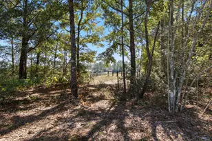 1249 Martin Rd, Defuniak Springs, FL 32433 - Photo 29