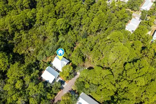 55 Grayton Bayou Dr, Santa Rosa Beach, FL 32459 - Photo 45