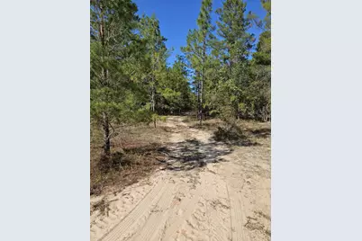 3902 Clearview Drive, Crestview, FL 32539 - Photo 7