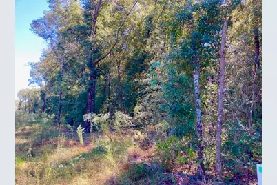 2.37Ac. Martin Road, Defuniak Springs, FL 32433 - Photo 13