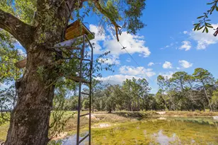 13796 FL-81, Ponce de Leon, FL 32455 - Photo 159