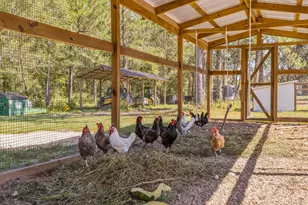 13796 FL-81, Ponce de Leon, FL 32455 - Photo 149