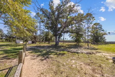 13796 Fl-81, Ponce de Leon, FL 32455 - Photo 141