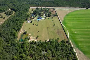13796 FL-81, Ponce de Leon, FL 32455 - Photo 3