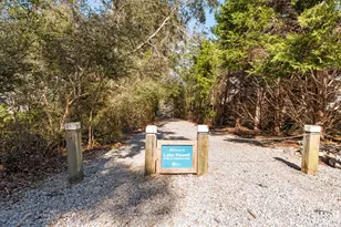 21 W Queen Palm Dr W, Inlet Beach, FL 32461 - Photo 79