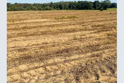 Lot 7 E Highway 2 Highway E, Bonifay, FL 32425 - Photo 7