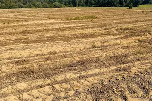 Lot 7 E Hwy 2 Hwy, Bonifay, FL 32425 - Photo 7