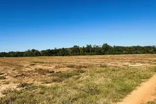 Lot 7 E Hwy 2 Hwy, Bonifay, FL 32425 - Photo 3