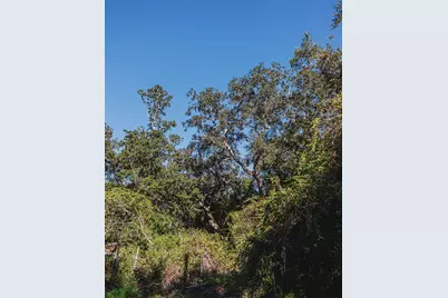 Tbd Robert Avenue, Niceville, FL 32578 - Photo 3