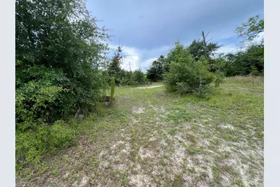 6807 John Pitts Road, Panama City, FL 32404 - Photo 3