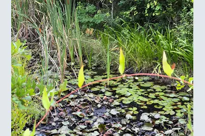 6807 John Pitts Road, Panama City, FL 32404 - Photo 7