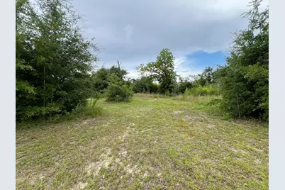 6807 John Pitts Road, Panama City, FL 32404 - Photo 9