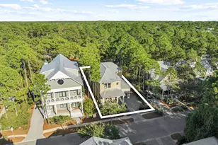 144 Royal Fern Way, Santa Rosa Beach, FL 32459 - Photo 3