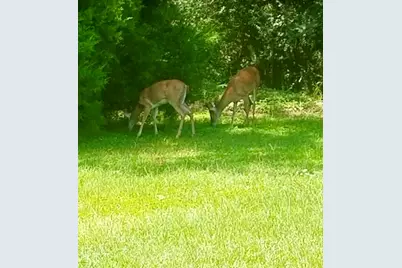 5406 Steele Road, Baker, FL 32531 - Photo 43