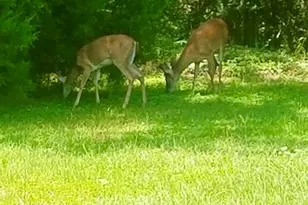 5406 Steele Rd, Baker, FL 32531 - Photo 43