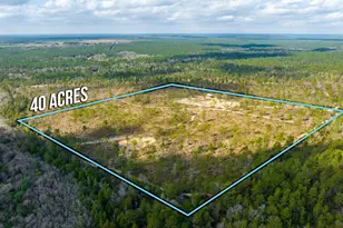 6150 Sherman Kennedy Rd, Baker, FL 32531 - Photo 41