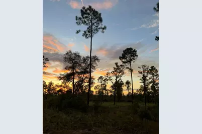 6150 Sherman Kennedy Road, Baker, FL 32531 - Photo 45