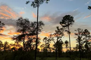 6150 Sherman Kennedy Rd, Baker, FL 32531 - Photo 45