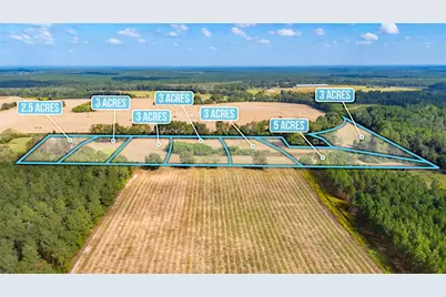 1950 Prescott Road, Florala, AL 36442 - Photo 3