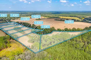 1950 Prescott Rd, Florala, AL 36442 - Photo 39