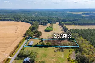 1950 Prescott Rd, Florala, AL 36442 - Photo 41