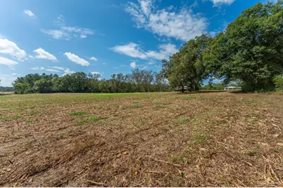 1950 Prescott Road, Florala, AL 36442 - Photo 51