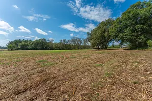 1950 Prescott Rd, Florala, AL 36442 - Photo 51