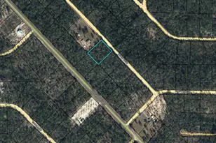 Lot 11 Papaya St, Marianna, FL 32448 - Photo 1