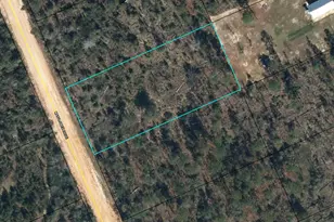 Lot 9 Mayflower Dr, Marianna, FL 32448 - Photo 1