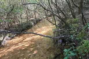 00 Boy Scout Rd, Defuniak Springs, FL 32435 - Photo 1