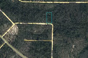 Lot 38 Poppy St, Marianna, FL 32448 - Photo 1