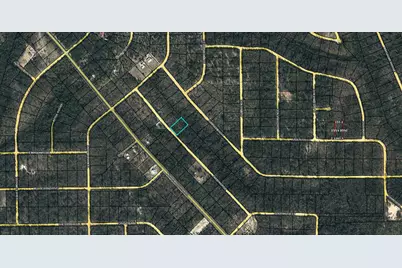 Lot 54 Papaya Street, Marianna, FL 32448 - Photo 1